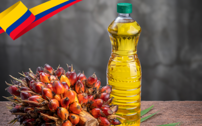 How did Colombia become the palm oil powerhouse of Latin America?
