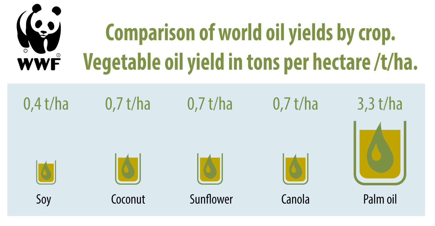 vegetable_oils_comparison