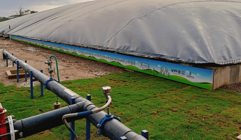 Clean energy renewable biogas